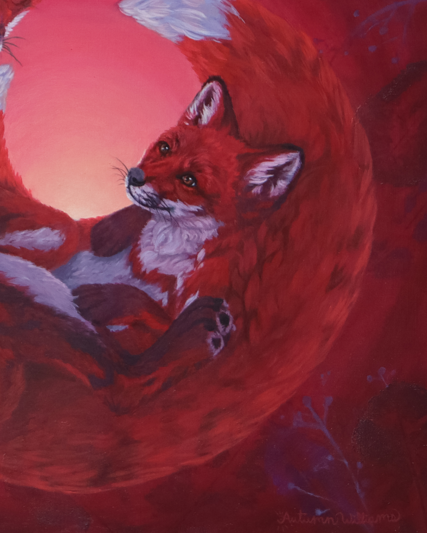 A painted artwork of a red fox curled up in a crescent moon shape, with a pink and red glow in the background. The fox has orange-red fur with white and dark markings, and the painting fills the entire frame.